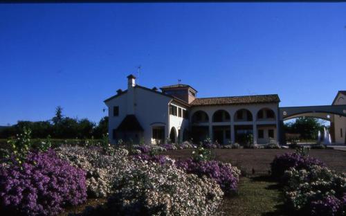 Agriturismo Due Torri - Accommodation - Montebelluna