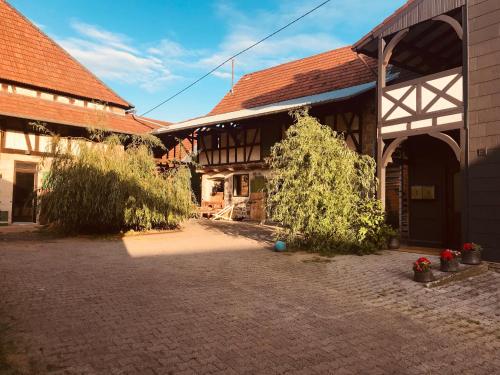 Gemütliche Landhaus Wohnung auf dem Ponyhof - Himmelbett, Kamin & Garten - Pferde & Hunde willkommen - Apartment - Ortenberg