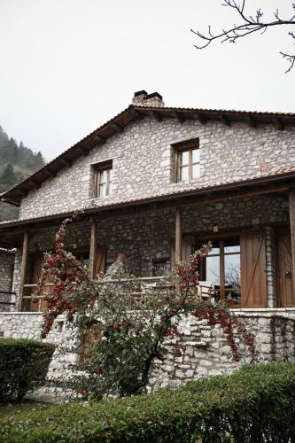 Petrina Theohari in Olympia