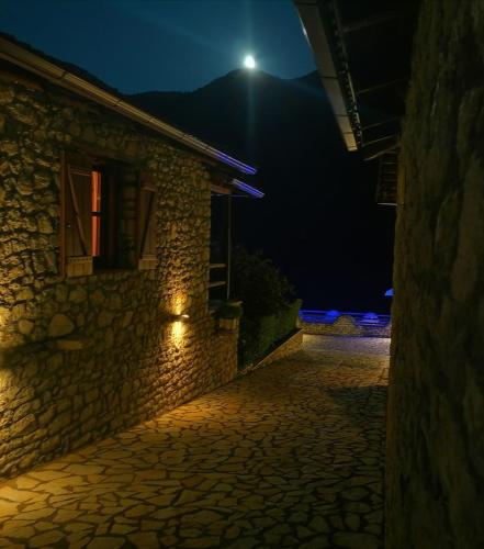 Petrina Theohari in Olympia