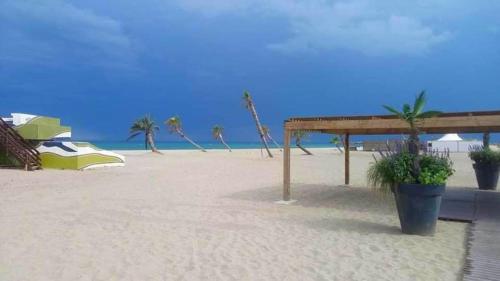Studio - Vue sur Mer - Acces direct plage - Grande terrasse - Proche commerces - Residence Soleil Le