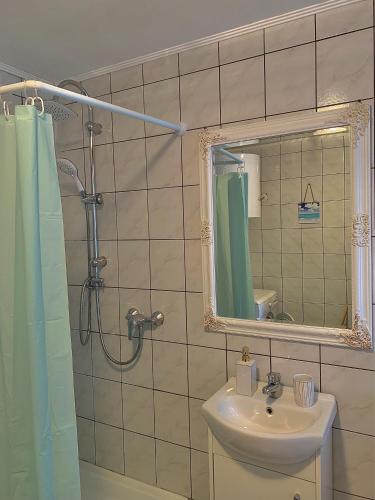 Bathroom, Tiszai Fenyves Apartman in Tiszadorogma