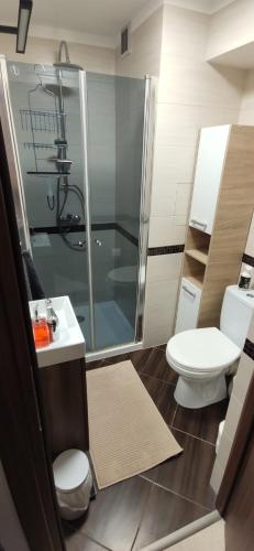Apartament 5TE PIETRO