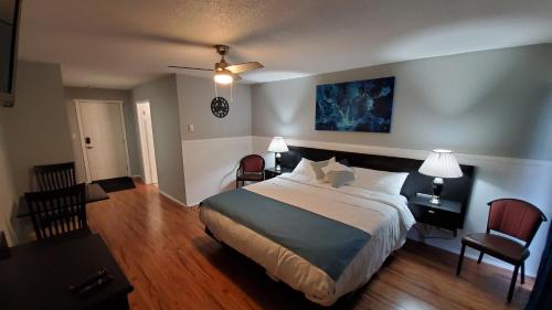 Deluxe King Studio