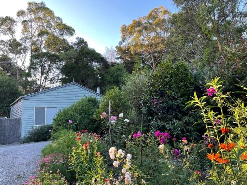 View, Tindoona Cottages in Foster