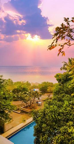 EKO STAY - Tropical Beach Apartments photo