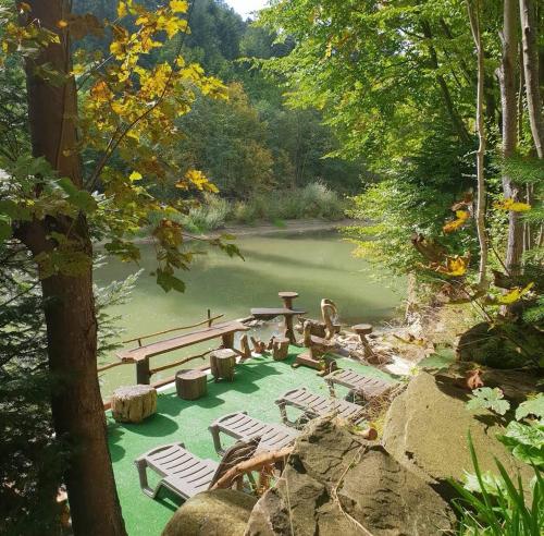 Зарінок карпат, Mykulychyn (foto 7)