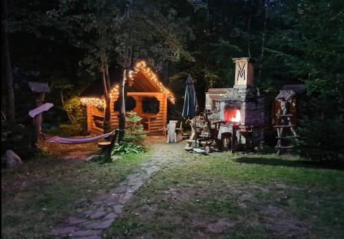 Зарінок карпат, Mykulychyn (foto 8)