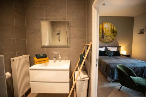 B&B Gaudium XII - main image
