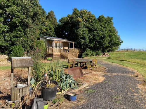 The Treehut - Hotel - Ohauiti