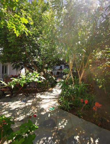 Matina Hotel - image 10
