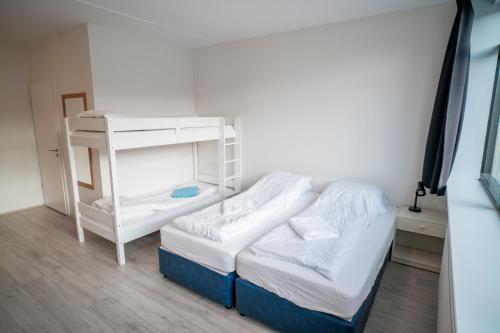 Guesthouse Pavi - image 4