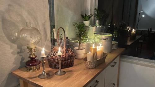 Hotel Rural El Arca de Noé - image 10