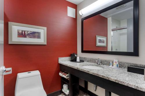 Comfort Inn & Suites near Stadium in Bronx, USA