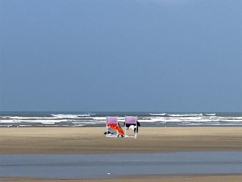Strand, Le Cocon Gite ou chambre d'hôte (Le Cocon Gite ou chambre d'hote) in Saint-Trojan-les-Bains
