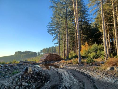 appartement dans maison, calme assuré (appartement dans maison, calme assure) in มัคนีย์ คัวร์