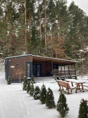 Sarzynówka pod Sosną
