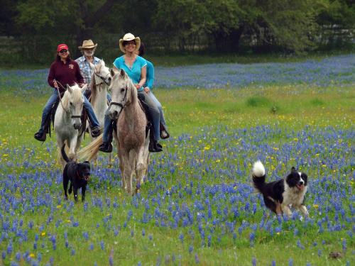 BlissWood Bed and Breakfast Ranch - image 7