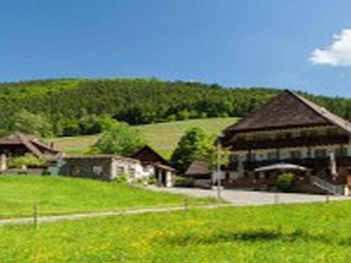 Landgasthaus Grüner Baum - Hotel - Simonswald