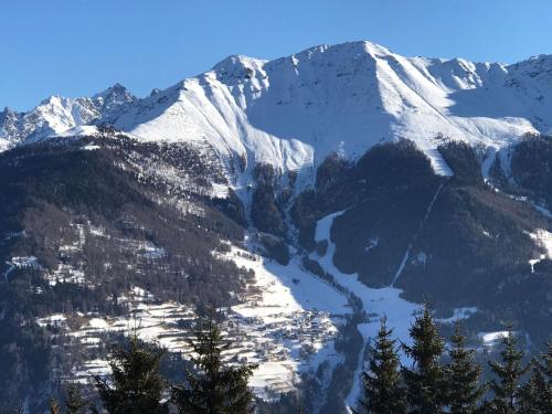 Schneekristall - image 2