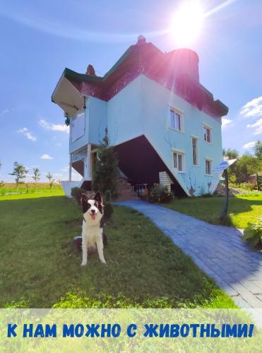 Night in Upsidedown House - image 2
