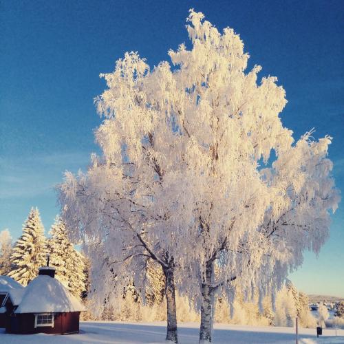 전망, Lappland Pro Natur in 오셀레