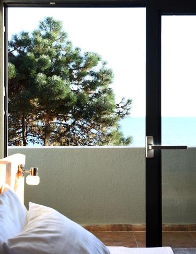 . Bazalt club hotel