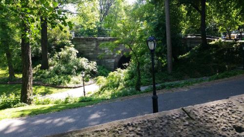 The Central Park North - image 8