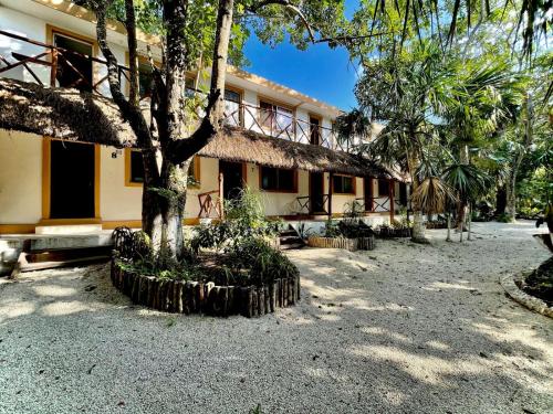Wonderful & Unique Hotel Exceptional Location Tequila Tour, Swimming Pool, Bar Nice Amenities