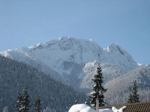 Four-Bedroom Apartment with Mountain View