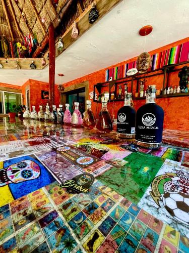 Excellent & Special Hotel Nice Location Decked Area, Swimming Pool & Tequila Factory