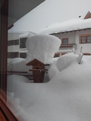 Appartement Chesa Monte in Ішгль