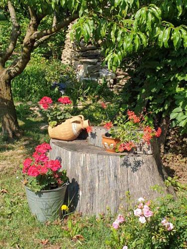 Garden, Kis Haz Apartman in Zalacsany