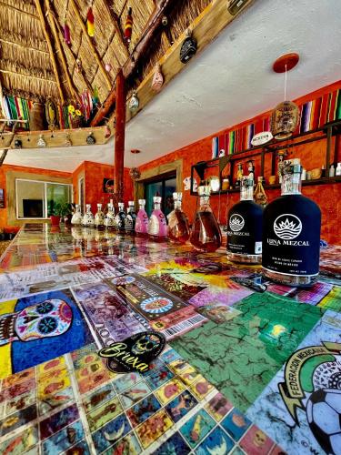 Spectacular & Peaceful Hotel Nice Location Incredible Bar, Tequila Tour & Pool Nice Amenities