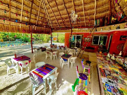 Amazing & Joyful Hotel Exceptional Location Pool, Tequila Factory & Decked Area