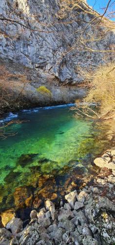 Wooden House Una - image 14