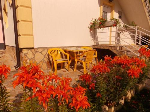 مدخل, Apartments Vukomanovic in Rujno