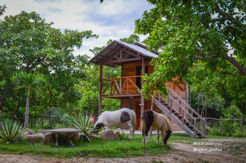 Oca Tocarijus Eco Resort