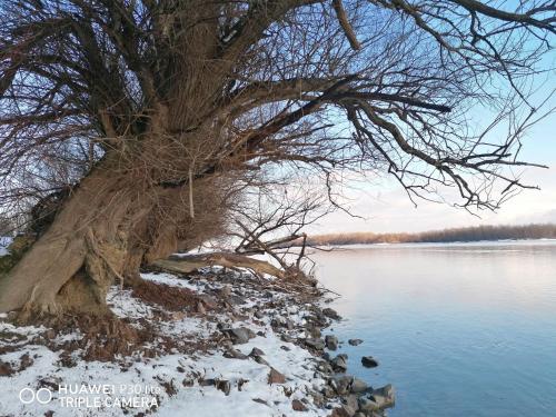 Captain's house on the Danube river - image 13