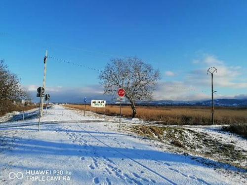 Captain's house on the Danube river - image 10