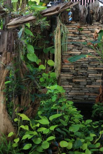 Plumeriahome near Chiangmai Airport – Chiang Mai, 