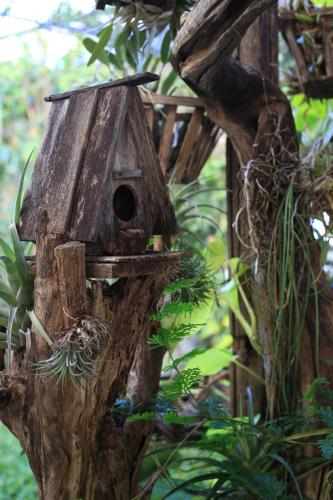 Plumeriahome near Chiangmai Airport – Chiang Mai, 