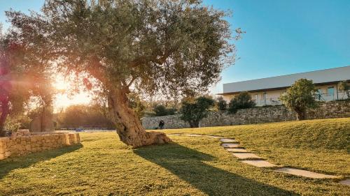 Terre di Romanello - Relais in Val di Noto