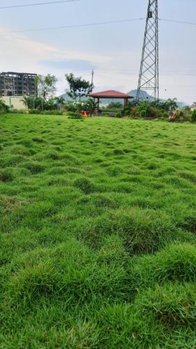 Narmada Resort Pure Vegetarian