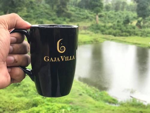 Gaja Villa