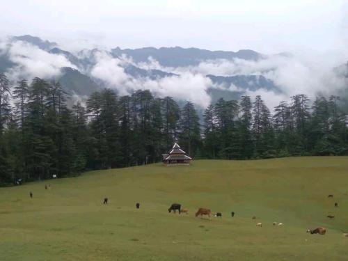 The Great Himalayan Hikes