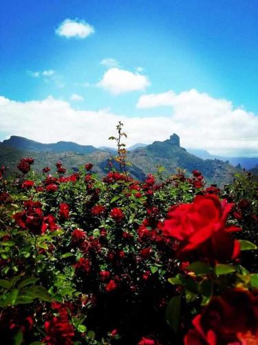 El Rincon del Nublo