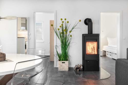 Salzhaff StrandHäuser mit Kamin und Terrasse OFC 17 in Pepelow, Deutschland