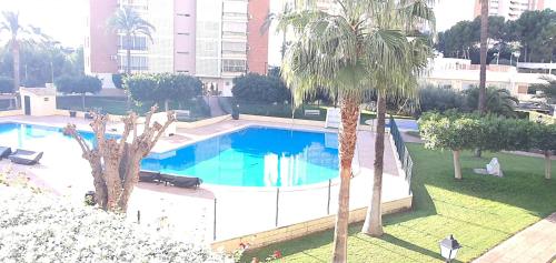  TORRE CLUB MEDICO - Fincas Arena, Pension in Benidorm