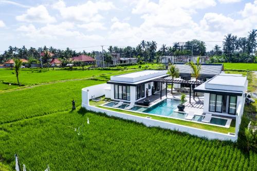 AMAZING 3Br Villa in the middle of Ricefields